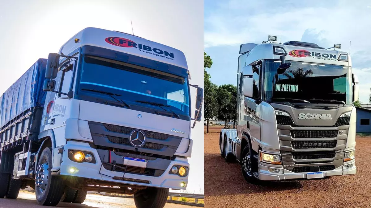 A foto mostra um truck e um cavalo-mecânico da Fribon Transportes